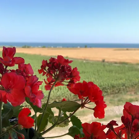 Casa De La بيت ضيافة 3*
