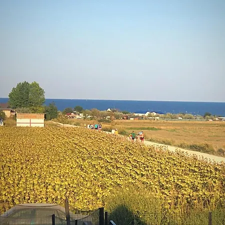 Affittacamere Casa De La Corbu (Constanta)